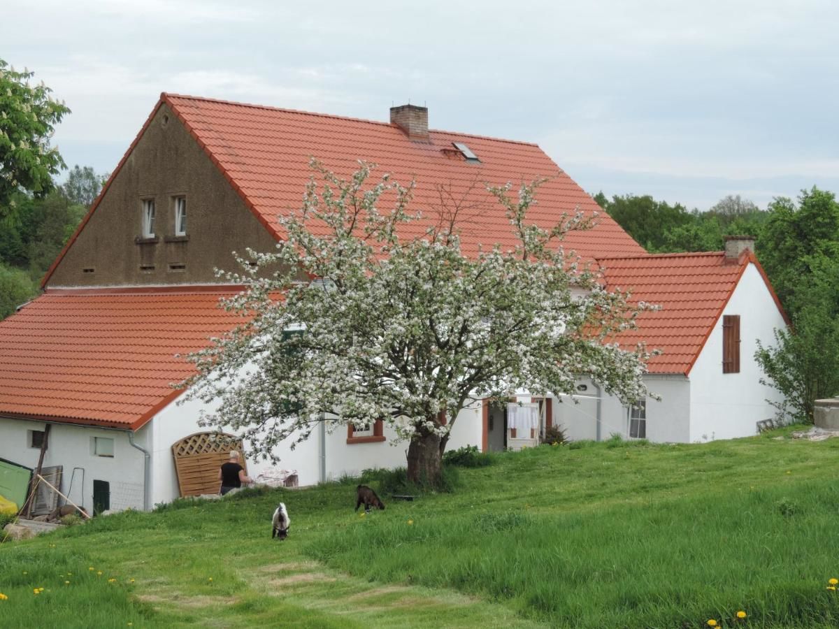 Фермерские дома Pod Miotełką Wleń
